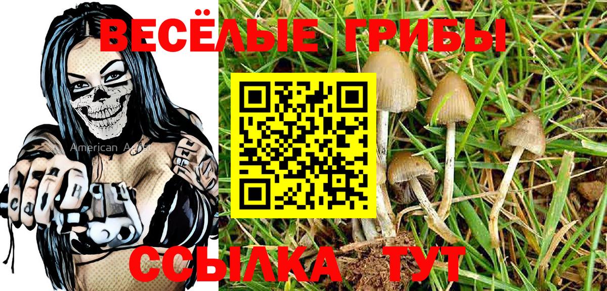 Галлюциногенные грибы Cubensis  Вход с VPN  Калуга 