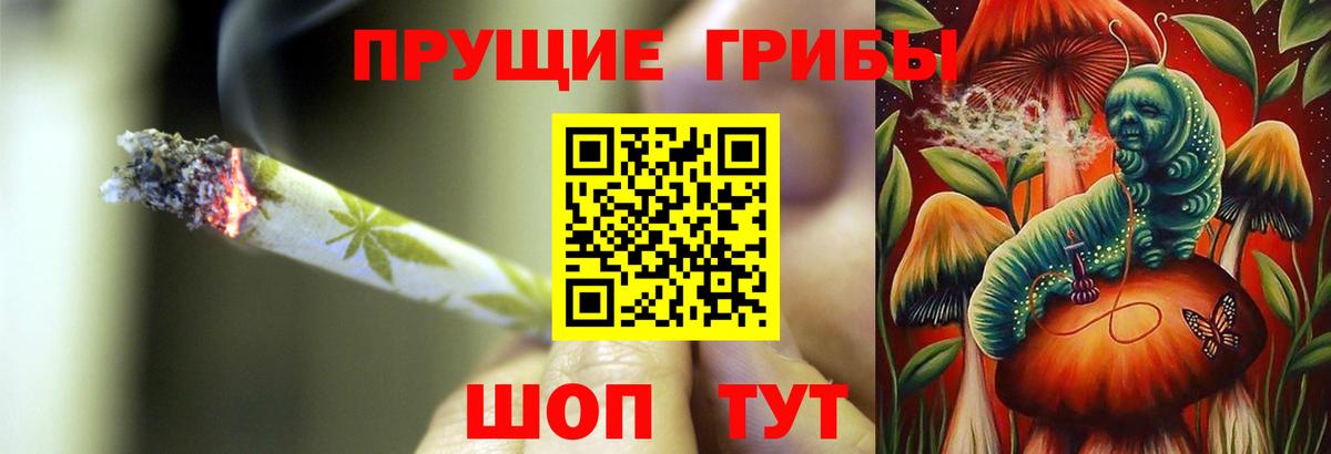 Псилоцибиновые грибы Magic Shrooms Калуга